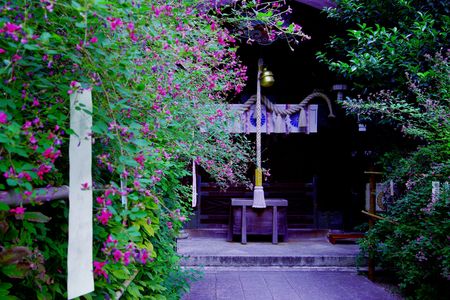 秋色の京都散策