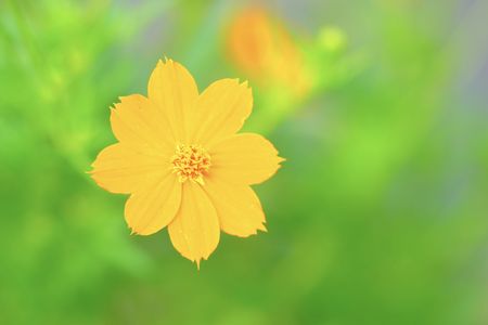 やっぱり好き^_^