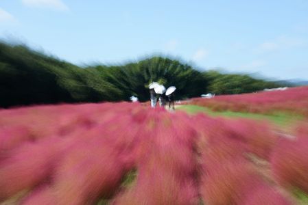 サンゴカラーの丘