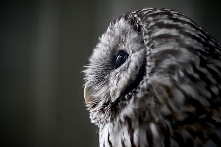 思慮深そうな横顔