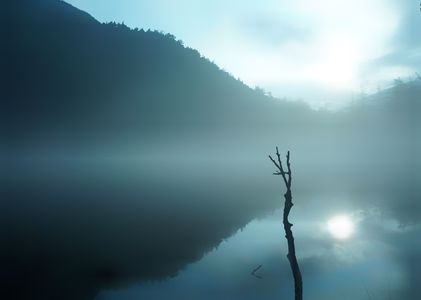 上高地 明神池の朝靄
