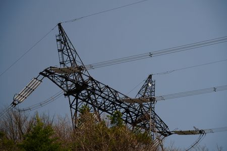 枯野越え繋ぐ猫達安曇線