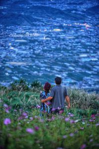 コスモス畑から望む