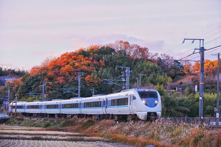 紅葉と海と特急くろしお