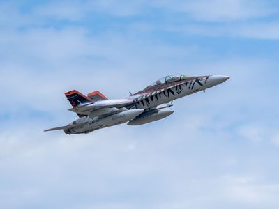F/A-18D Legacy Hornet  Fighiting BENGALS
