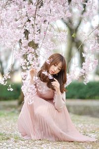 桜色の妖精