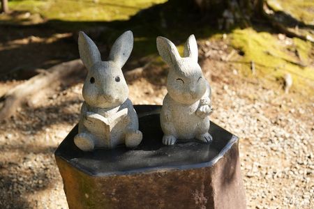 因幡の白うさぎ