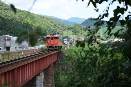 山あいのタラコ