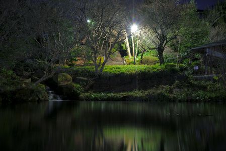 深夜の池