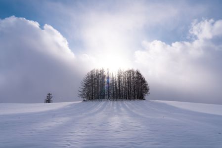 12月の長く伸びる影