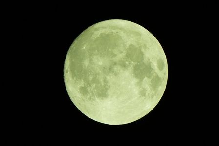 中秋の名月🌕