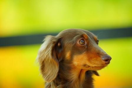 可愛いモデルさん