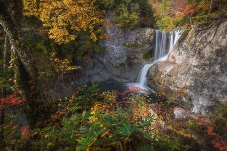 奥志賀高原の紅葉