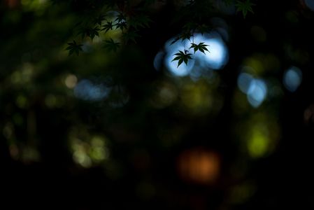 スポットライト