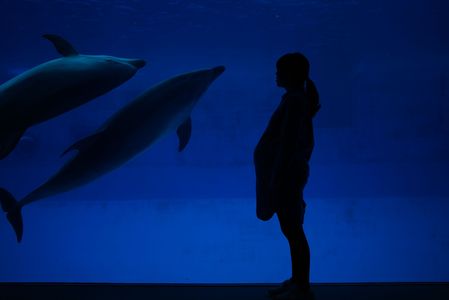 Maternity Photo  [Aquarium]