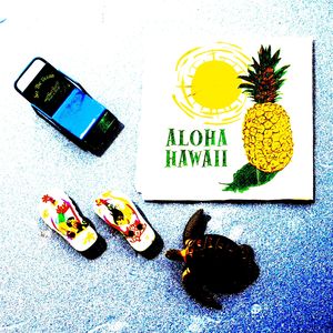 Hawaiiの小物たちを撮る！