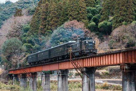 冬を走る快速ゆふいん号