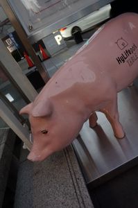 Daikanyama's Pig