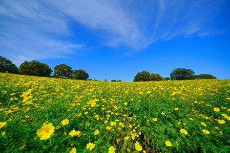 やっと、秋らしく～