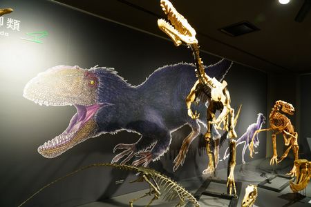 たんば恐竜博物館