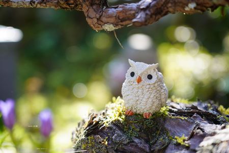 神藏寺のフクロウ探し