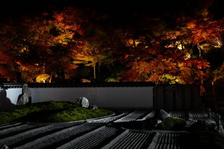 秋灯に染まる石庭