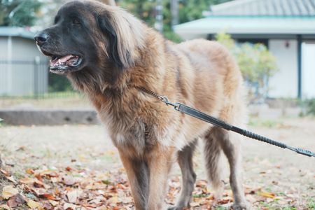 #ファインダー越しの私の世界