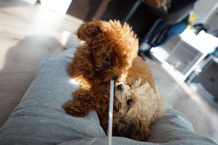 #ファインダー越しの私の世界