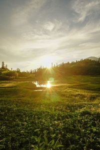 高谷池の夕日