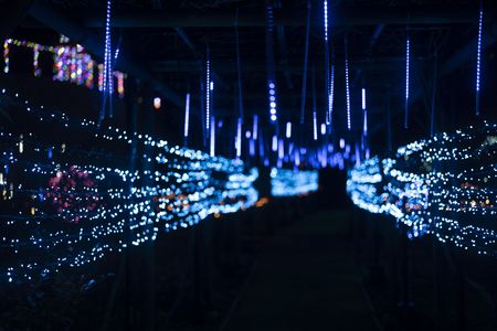 イルミネーション