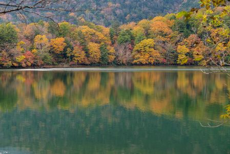 湯の湖紅葉その１