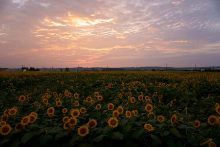 お疲れ様でした