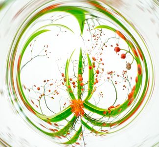 生け花の水晶玉万華鏡写真