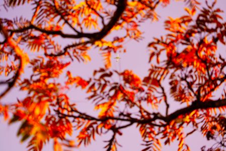 晩秋のキャンプ場