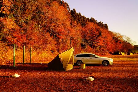 学校跡地 De Camp