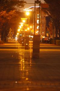 路面に反射する街路灯…冬支度を演出してます