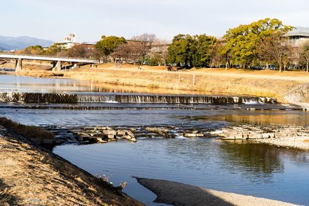 冬の京都鴨川
