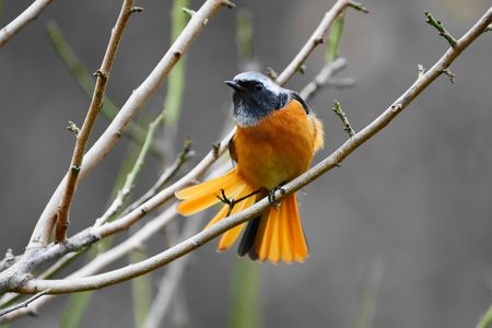 とうちゃ～く。