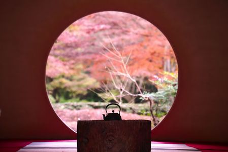 鎌倉紅葉~明月院、浄智寺、円覚寺~