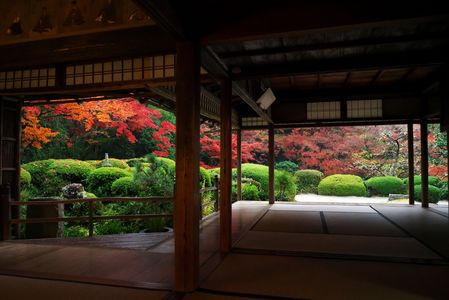 京都旅行2日目　下鴨神社から一条寺へ