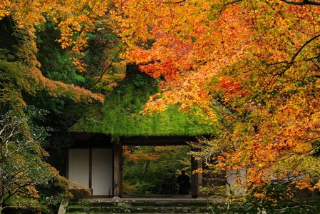 京都旅行3日目　南禅寺から哲学の道へ