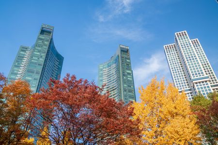 高層ビル群と紅葉
