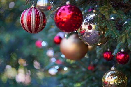 横浜イングリッシュガーデン　クリスマス装飾　(*ﾟ▽ﾟ)ﾉ 