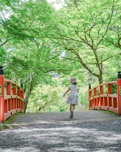 初夏