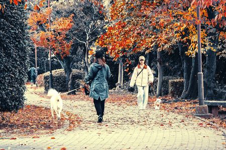 散歩道　落ち葉を踏んで