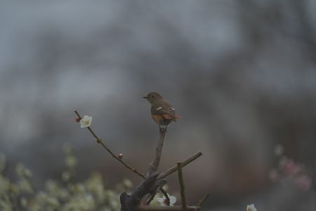 食べていいかな？