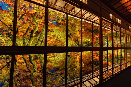 宝厳院ライトアップ