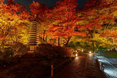 宝厳院ライトアップ③