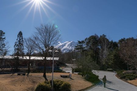 太陽と富士