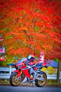 紅葉と真っ赤なバイク。